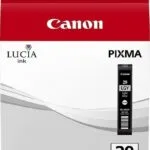 Canon PGI-29 Γνήσιο Μελάνι Εκτυπωτή InkJet Ανοιχτό Γκρι (4872B001)