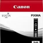 Canon PGI-29 Γνήσιο Μελάνι Εκτυπωτή InkJet Photo Μαύρο (4869B001)