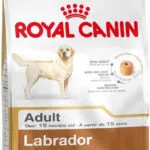 Royal Canin Adult Labrador Retriever 12kg Ξηρά Τροφή χωρίς Γλουτένη για Ενήλικους Σκύλους Μεγαλόσωμων Φυλών με Πουλερικά και Ρύζι