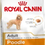 Royal Canin Poodle Adult 1.5kg Ξηρά Τροφή για Ενήλικους Σκύλους Μικρόσωμων Φυλών με Πουλερικά και Ρύζι