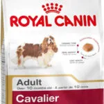 Royal Canin Cavalier King Charles Adult 1.5kg Ξηρά Τροφή για Ενήλικους Σκύλους Μικρόσωμων Φυλών με Κοτόπουλο και Ρύζι