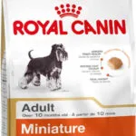 Royal Canin Adult Miniature Schnauzer 3kg Ξηρά Τροφή για Ενήλικους Σκύλους με Καστανό Ρύζι και Κοτόπουλο