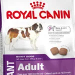 Royal Canin Giant Adult 15kg Ξηρά Τροφή για Ενήλικους Σκύλους Μεγαλόσωμων Φυλών με Πουλερικά