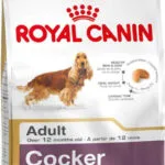 Royal Canin Adult Cocker 12kg Ξηρά Τροφή χωρίς Γλουτένη για Ενήλικους Σκύλους Μεσαίων Φυλών με Καστανό Ρύζι και Κοτόπουλο
