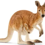 Schleich-S Wild Life Kangaroo για 3+ Ετών 14756