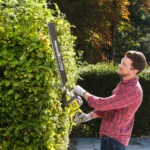 Ryobi RHT8165RL Ηλεκτρικό Μπορντουροψάλιδο 800W με Μήκος Λάμας 65cm