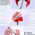 Olympia Din A3 125 Micron Φύλλα Πλαστικοποίησης 50 Τμχ. 9175