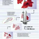 Olympia Din A4 80 Micron Φύλλα Πλαστικοποίησης 25 Τμχ. 9181