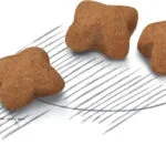 Royal Canin Second Age Kitten Sterilised Ξηρά Τροφή για Ανήλικες Στειρωμένες Γάτες με Πουλερικά / Ρύζι 3.5kg