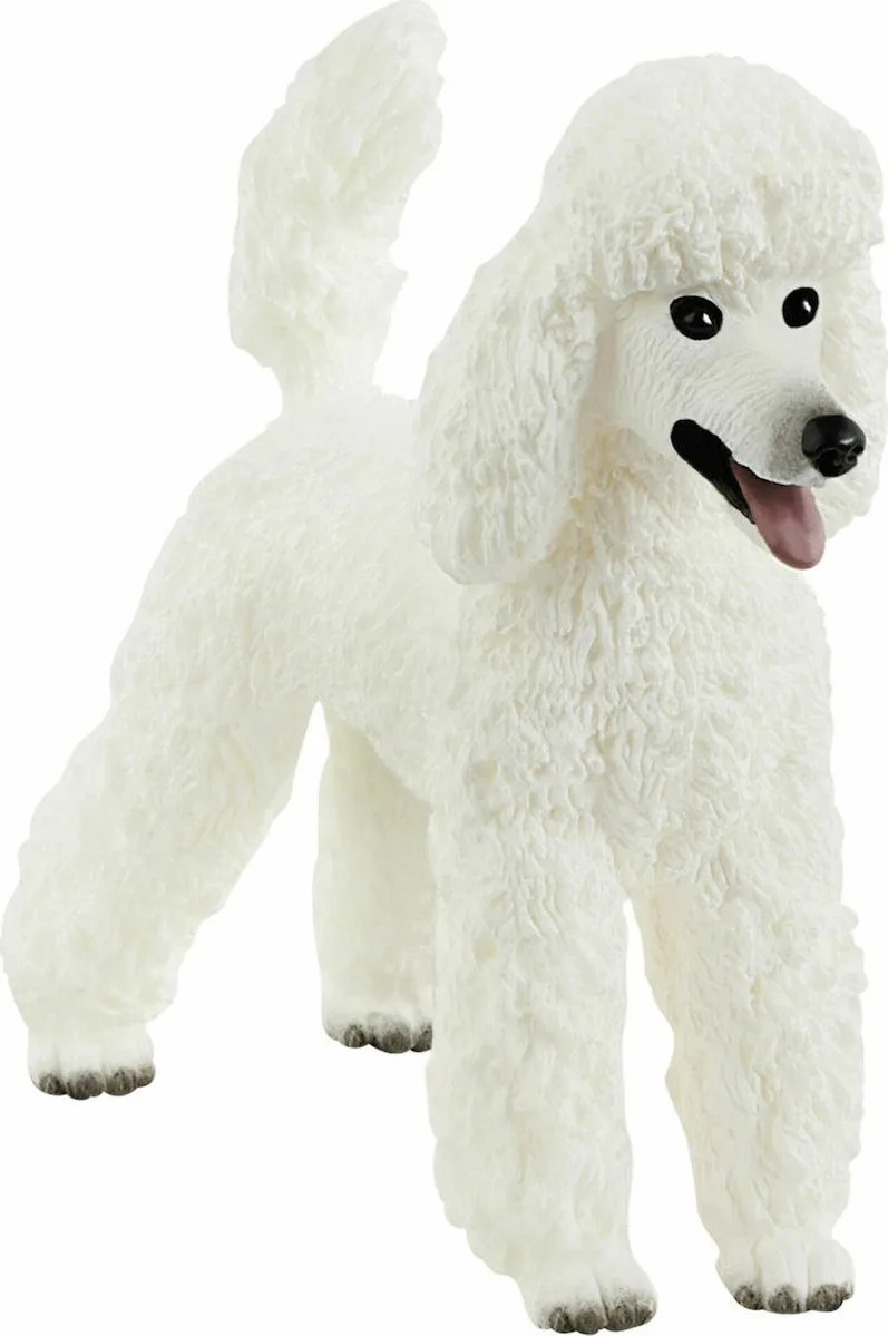 20210120114902_schleich_s_poodle Schleich-S Poodle 6εκ. 13917 - Image 1