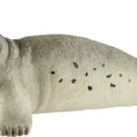 Schleich-S Wild Life Seal για 3+ Ετών (Διάφορα Σχέδια) 14801