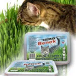 Certech Pet Grass Seed Γρασίδι για Γαστρεντερικές Διαταραχές 150gr DLZCCHKSK0001