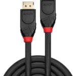 Lindy Cable DisplayPort male - DisplayPort male 10m Μαύρο (41078)