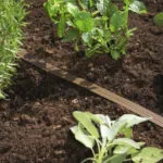 Gardena Λάστιχο Ποτίσματος 15m 01999-20