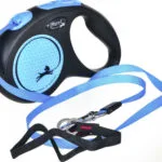 Flexi Πτυσσόμενο Λουρί/Οδηγός Σκύλου Ιμάντας New Neon σε Μπλε χρώμα 5m έως 15kg