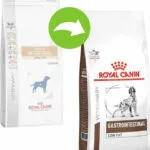 Royal Canin Veterinary Gastrointestinal Low Fat 12kg Ξηρά Τροφή Διαίτης για Ενήλικους Σκύλους με Πουλερικά και Ρύζι