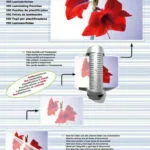 Olympia Φύλλα Πλαστικοποίησης Laminating Pouches Din A4