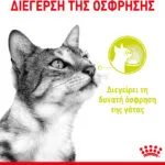 Royal Canin Sensory Smell Gravy/Salsa Υγρή Τροφή για Ενήλικες Γάτες σε Φακελάκι με Πουλερικά και Ψάρια 85gr 1194442