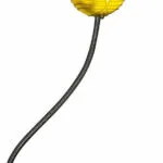 Paladone Led Παιδικό Φωτιστικό Γραφείου Harry Potter Golden Snitch Πολύχρωμο 4x30cm PP5555HP