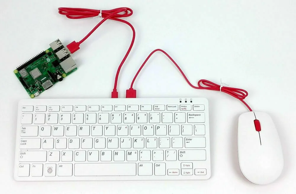 20211222170804_0176251a Raspberry Pi Mouse Ενσύρματο Ποντίκι Λευκό - Image 1