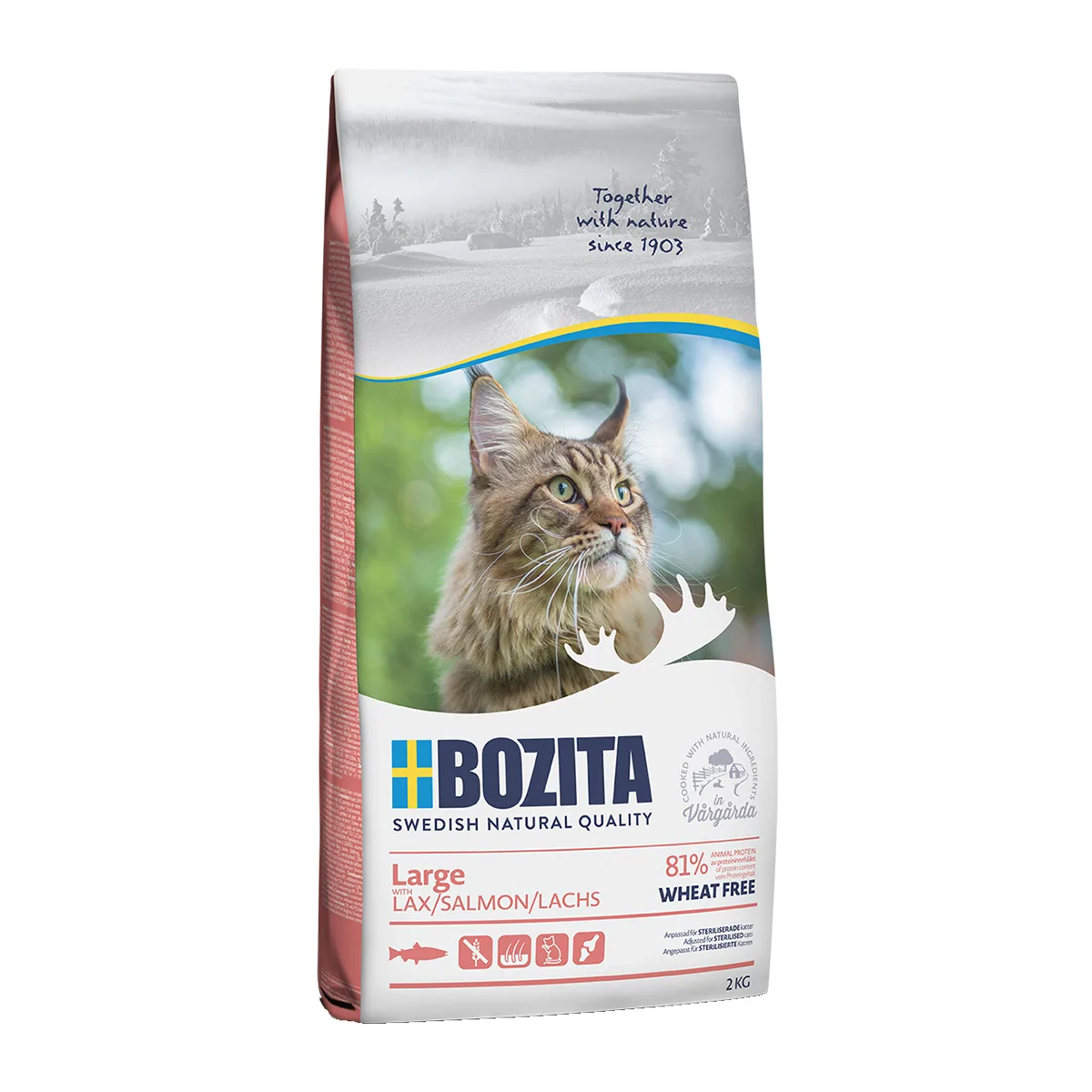 20220203120906_bozita_feline_large_with_salmon_wheat_free_2kg Bozita Large Ξηρά Τροφή χωρίς Σιτηρά για Ενήλικες Γάτες με Σολομό Wheat Free 2kg - Image 1