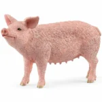 Schleich-S Γουρούνι Θηλυκό 13933