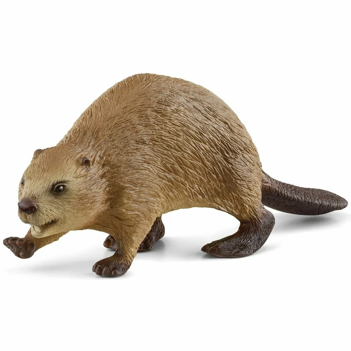 20220308122245_schleich_s_paichnidi_miniatoura_kastoras_14855 Schleich-S Κάστορας 14855 - Image 1