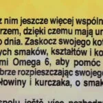 Felix Λιχουδιές Σνακ με Βοδινό με Βοδινό & Κοτόπουλο για Ενήλικες Γάτες 45gr