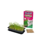 Vitakraft Cat Grass Γρασίδι για Γαστρεντερικές Διαταραχές 120gr 340901