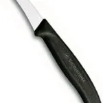 Victorinox Swiss Classic Μαχαίρι Ξεφλουδίσματος από Ανοξείδωτο Ατσάλι 6cm 6.7503