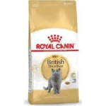 Royal Canin British Shorthair Adult Ξηρά Τροφή για Ενήλικες Γάτες με Καλαμπόκι 4kg