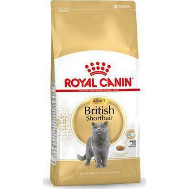 Royal Canin British Shorthair Adult Ξηρά Τροφή για Ενήλικες Γάτες με Καλαμπόκι 4kg - Image 1