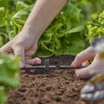 Gardena 13216-20 Ταφ Σωλήνων Ποτίσματος 5τμχ Μαύρο
