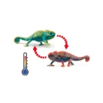 Schleich-S Chameleon για 3-8 Ετών 10εκ. 14858