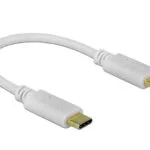 DeLock USB 2.0 Cable USB-C male - USB-C 100W Λευκό 0.15m (85357)