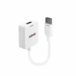 Lindy HDMI to DisplayPort 4K Μετατροπέας DisplayPort female σε HDMI female Λευκό 1τμχ
