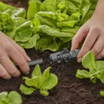 Gardena 13206-20 Σύνδεσμος Σωλήνων Ποτίσματος 13mm 10τμχ