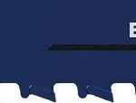 Bosch 2608900415 Λάμες 240mm 3τμχ