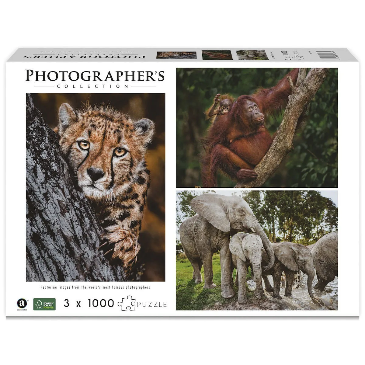 20230925162348_puzzle_2d_3000_kommatia_7230787 Puzzle 2D 1000pcs 7230787 - Image 1