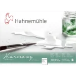Hahnemuhle Μπλοκ Ακουαρέλας A4 21x29.7cm 12 Φύλλα 10628760