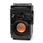 Squeak SQ1001 Ηχείο Bluetooth 20W με Ραδιόφωνο και Διάρκεια Μπαταρίας έως 7 ώρες Μαύρο