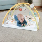Fisher Price Γυμναστήριο Δραστηριοτήτων για Νεογέννητα HRB15