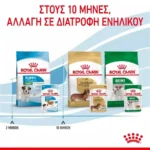 Royal Canin Puppy Υγρή Τροφή για Κουτάβια σε Φακελάκι με Κρέας 85gr 1705010