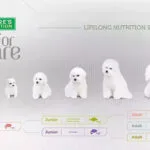 Nature's Protection Superior Care White Dogs 1.5kg Ξηρά Τροφή χωρίς Σιτηρά & Γλουτένη για Κουτάβια με Ψάρια
