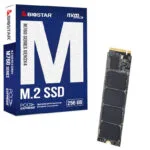 Biostar M760 SSD 256GB M.2 NVMe PCI Express 3.0