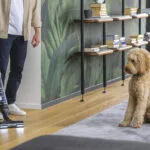 Hoover Ηλεκτρική Σκούπα Stick 365W Μαύρη HFX10P 011