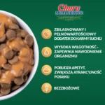 Inaba Λιχουδιές Σνακ με Κοτόπουλο / Σολομό για Ενήλικες Γάτες 14gr