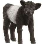 Schleich-S Farm World Galloway Calf για 3+ Ετών 13969