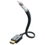Inakustik HDMI 2.1 Cable HDMI male - HDMI male 2m Χρυσό 00324620