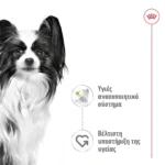 Υγρή Τροφή Royal Canin X Small Adult Gravy Σάλτσα Ενήλικες Σκύλους Πολύ Μικρόσωμων Φυλών Σωματικού Βάρους Έως 4 Kg 85gr
